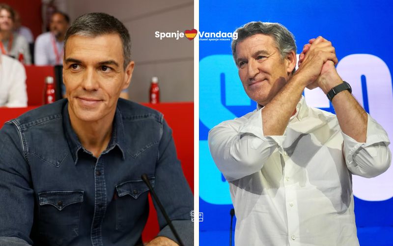 PP & PSOE / X