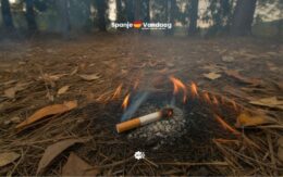 Zes jaar cel voor bosbrand en duizend euro boete voor roken in de natuur in Spanje