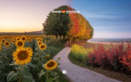 Op deze datum eindigt de zomer van 2025 en begint de herfst officieel in Spanje