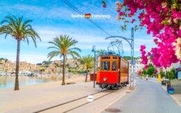 Top 10 beste plekken om te overwinteren op Mallorca