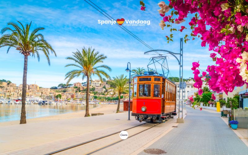 via canva.com