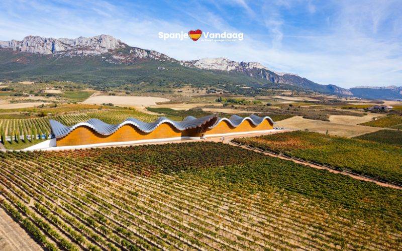 Acht Spaanse wijnhuizen behoren tot de beste van de wereld in 2025