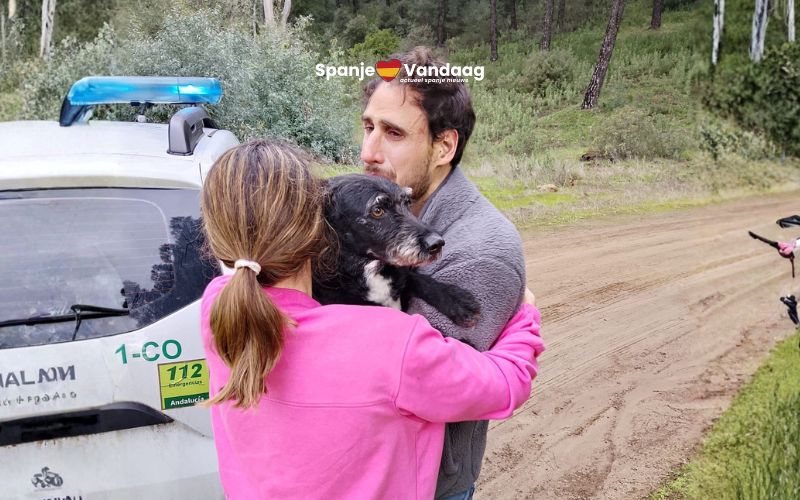 Zoekgeraakte hond Boro na treinongeluk in Córdoba gered
