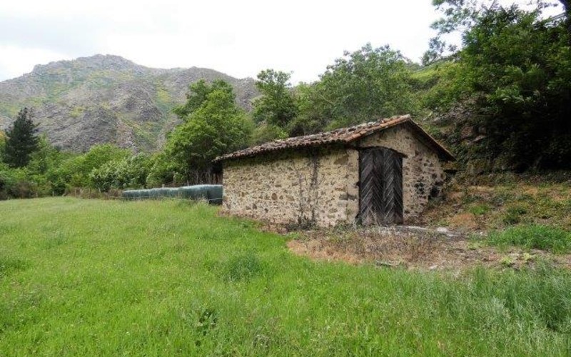 SpanjeVerhaal: Van Droom naar Ondernemen in Noordwest Spanje (44)