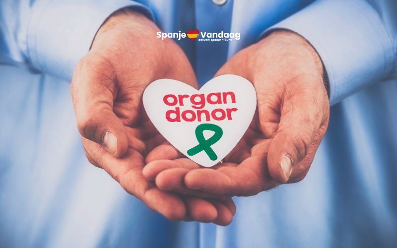 Spanje voert opnieuw meer dan 6.300 transplantaties uit en breekt record bij harten