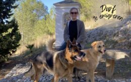 Durf jij te emigreren? Van droom naar een nieuw leven in Spanje