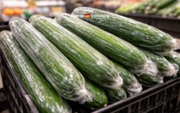 Waarom de pepino holandés komkommer in Spanje bijna altijd in plastic zit verpakt
