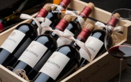 Ken jij deze rode wijnen voor minder dan 7 euro van de Mercadona al?