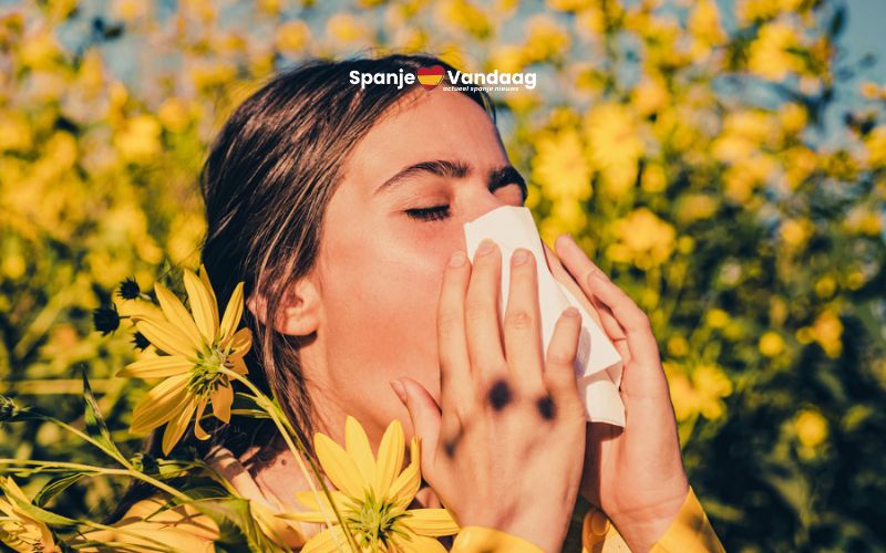 In deze delen van Spanje krijg je deze lente het meeste last van allergieën