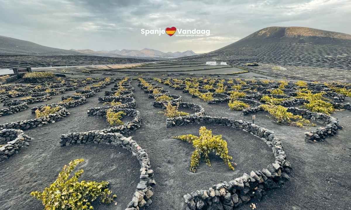 Lanzarote scoort hoog met trouwe toeristen en opvallend hoge tevredenheid
