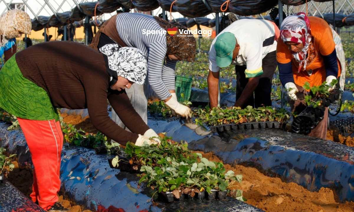 Wat verandert er voor migranten in Spanje en de belangrijkste vragen samengevat