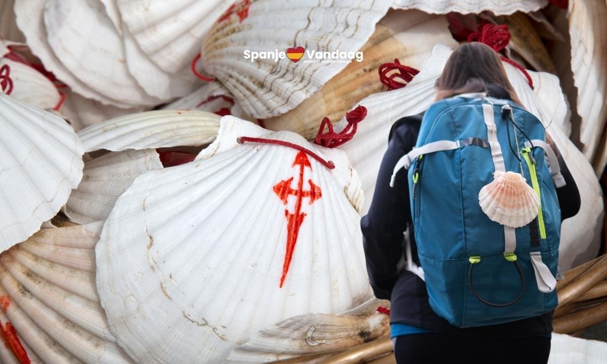 Dit is waarom de sint-jakobsschelp hét symbool is van de Camino naar Santiago de Compostela