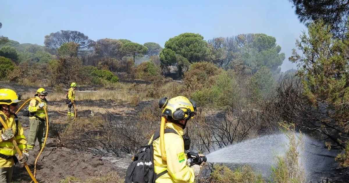 Brand in Doñana bedreigt bijna honderd dier- en plantensoorten, waaronder de Iberische lynx