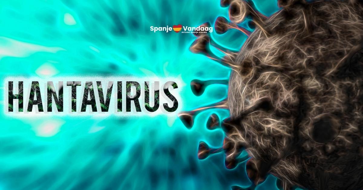 Dodelijk hantavirus duikt op in Europa en ook Spanje is ermee bekend