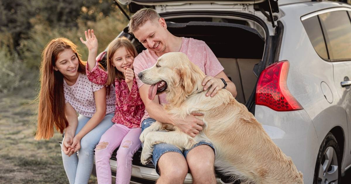 Vakantie in Spanje met je hond: de ultieme gids voor 2026