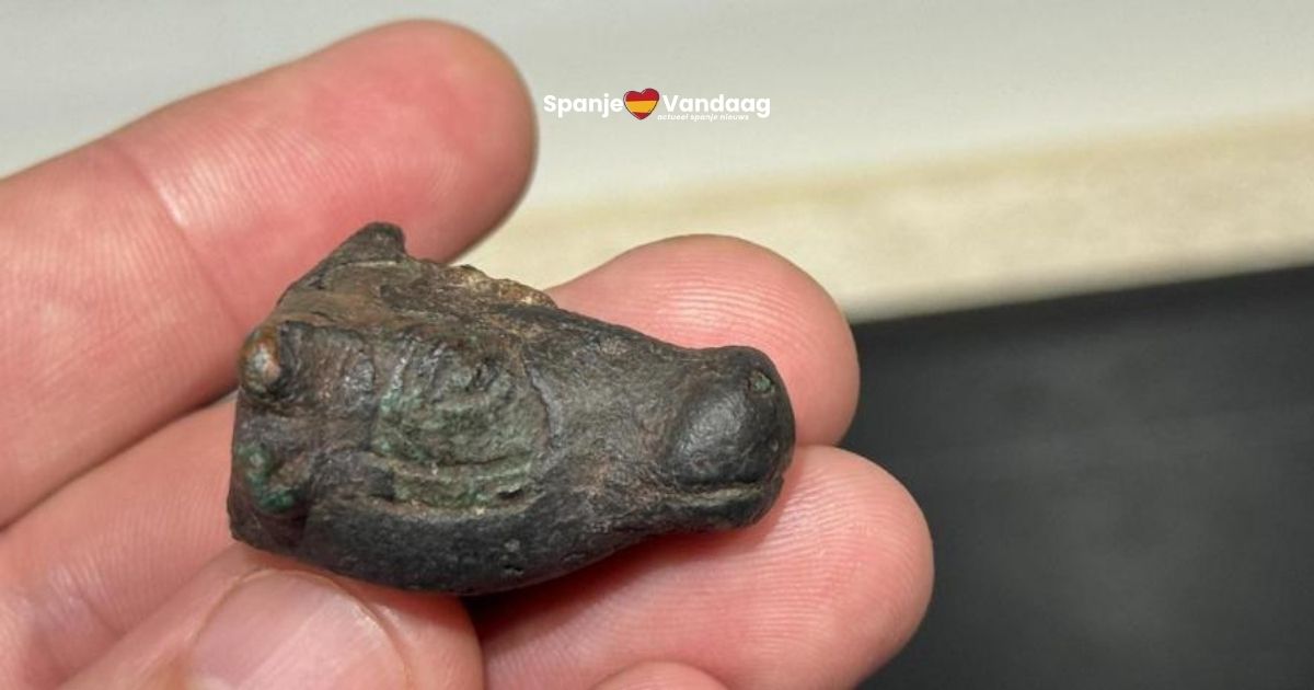 Wandelaar stuit op bronzen stierenkop van 2.500 jaar oud op Mallorca