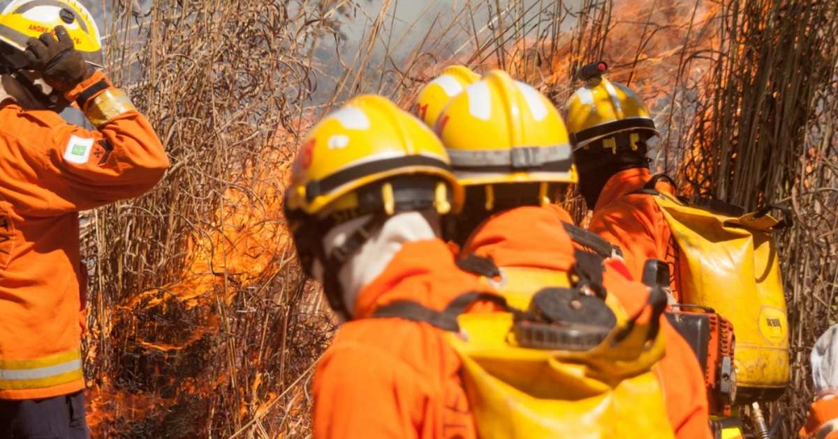 Bosbranden Spanje 2026: al 37.968 hectare verbrand, bijna drie keer zo veel als vorig jaar