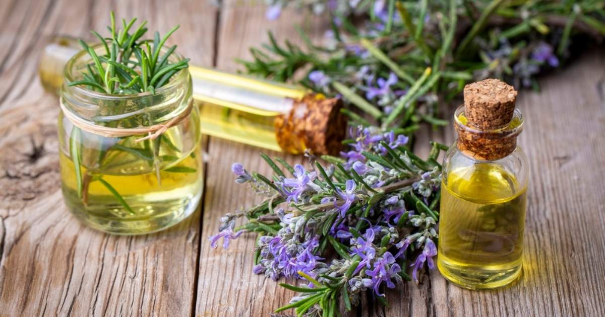 Aragón plant lavendel en geeft zo nieuw leven aan het verlaten bergland in de Pyreneeën