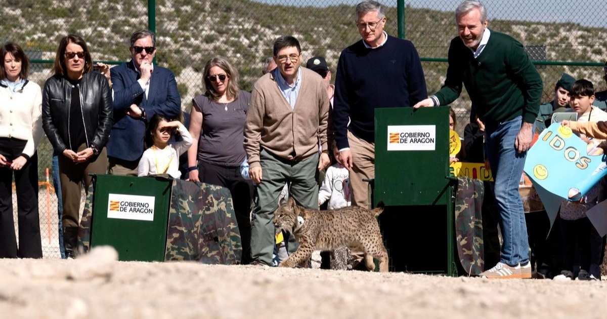 Waarom dieren uitzetten in Spanje niet altijd de beste redding is