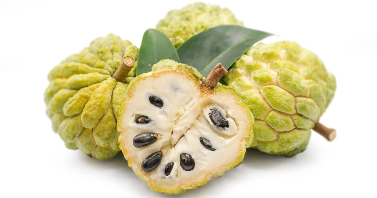 Chirimoya: het romige superfruit dat Spanje aan de wereld levert