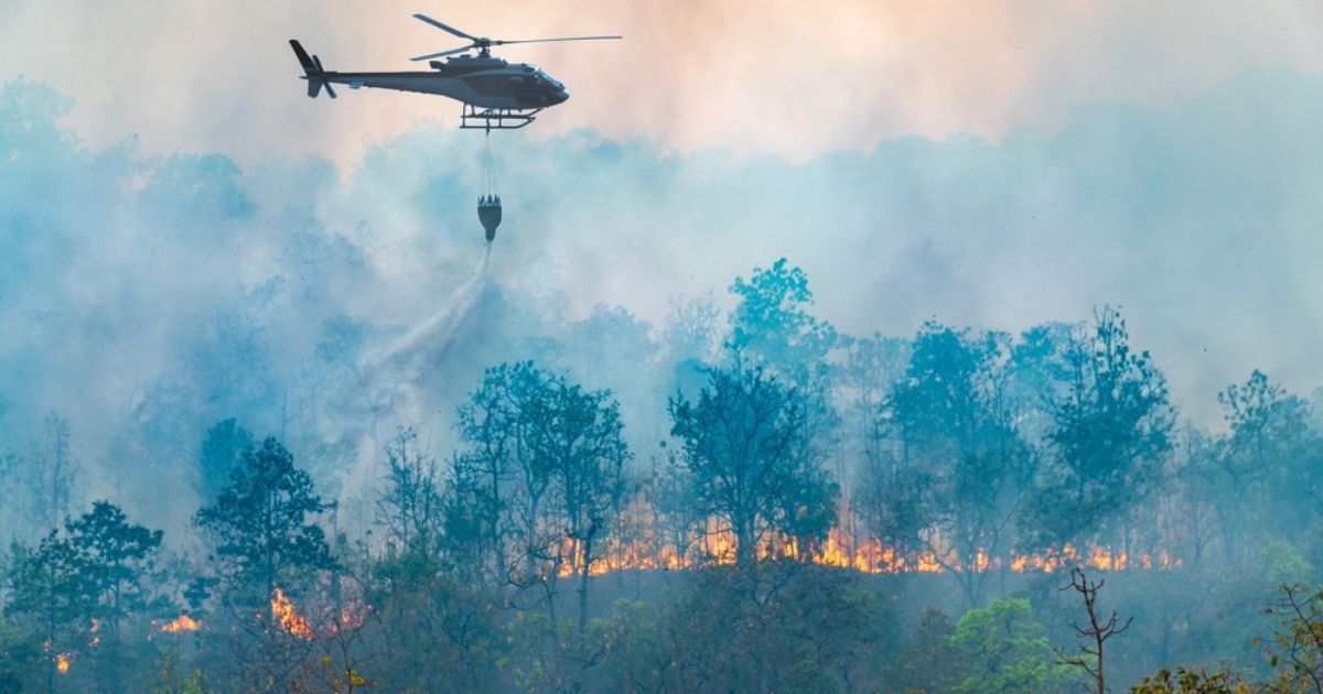 Bosbranden Spanje: al 120.000 hectare verbrand in 2026