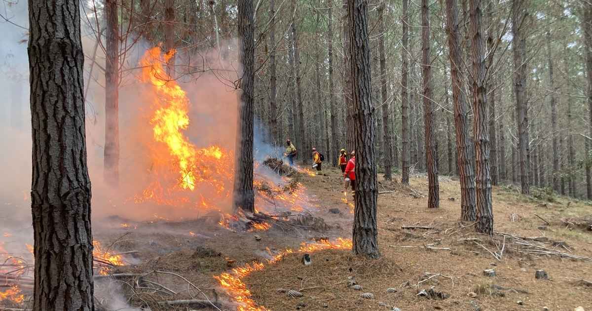 Contrafuego: waarom Spaanse brandweer soms zelf vuur sticht