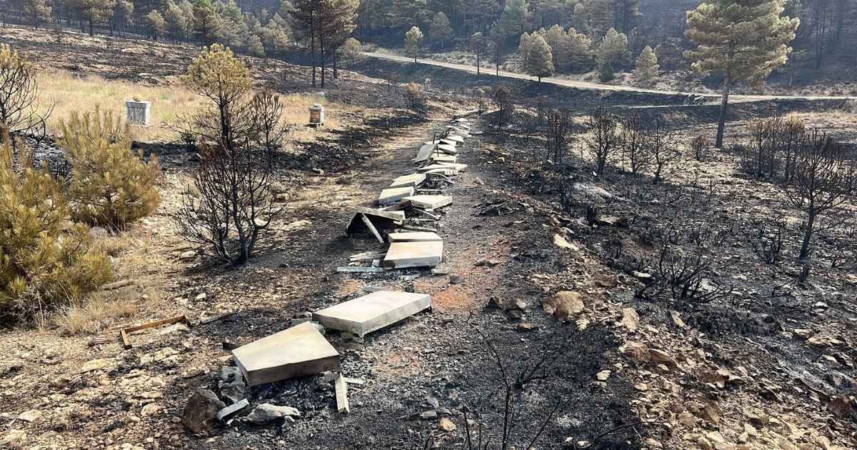 Bosbrand bij Ejulve doodt miljoenen bijen van imkersfamilie in Teruel