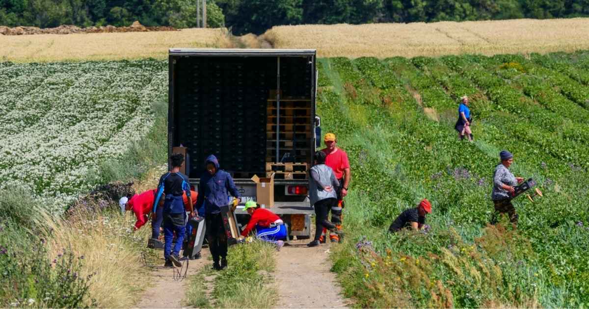 Spanje breekt in juni banenrecord dankzij regularisatie van migranten
