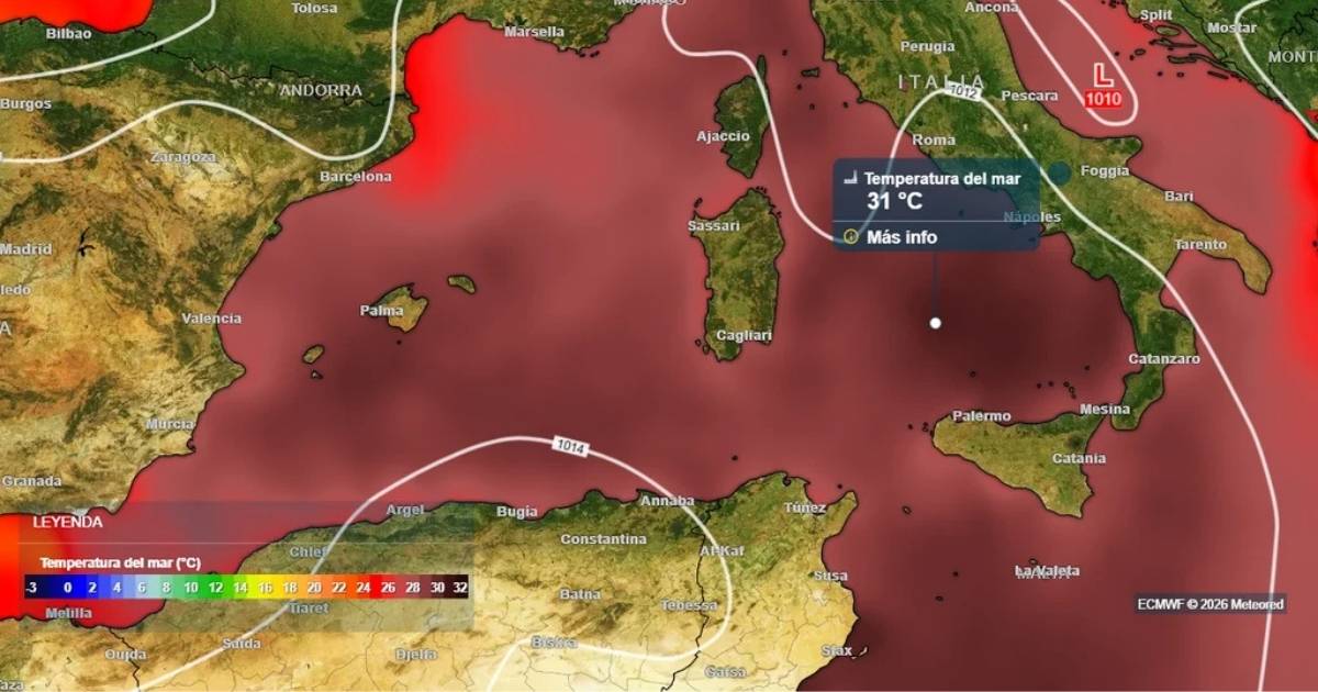 Middellandse Zee warmt sneller op dan ooit: risico op onomkeerbare verandering