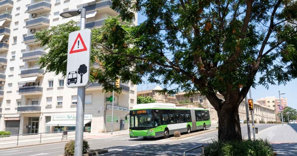 Ongewoon verkeersbord in Tarragona waarschuwt bussen voor eeuwenoude boom bij Corte Inglés