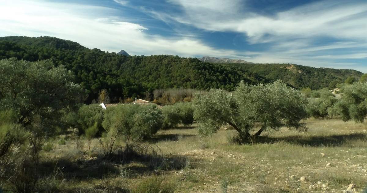 SpanjeVerhaal: Emigratie en een B&B in Granada (27)
