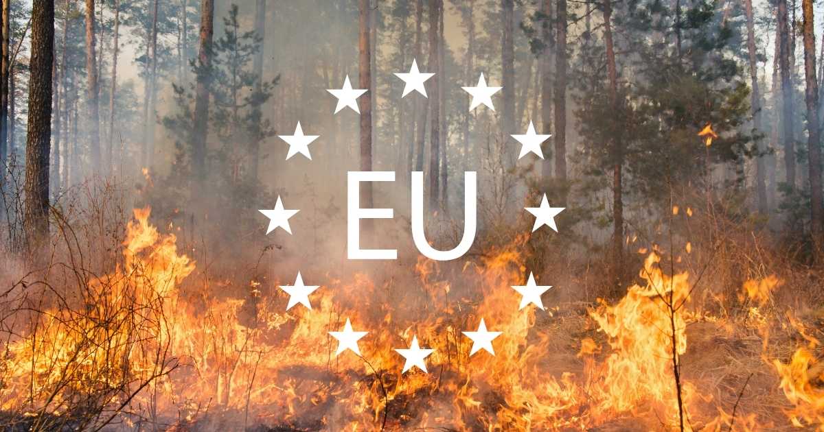 Bosbrand met vlammen en rook tussen bomen, met het EU-logo als overlay