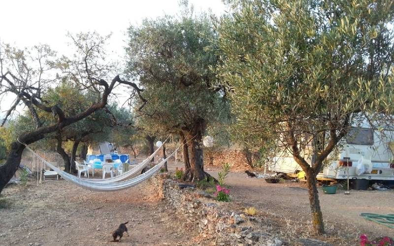 Te koop: een campingplaats van 4,8 hectare met vergunningen in Tarragona voor 150.000 euro