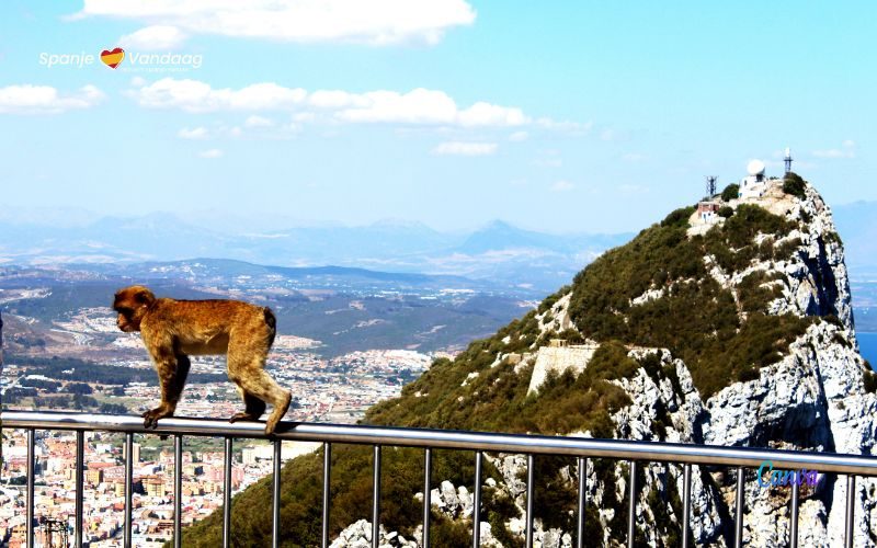 Weer opheft over Gibraltar, het stukje Groot-Brittannië in Spanje