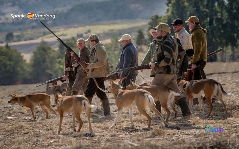 Minder jachtvergunningen maar meer geschoten dieren in Spanje