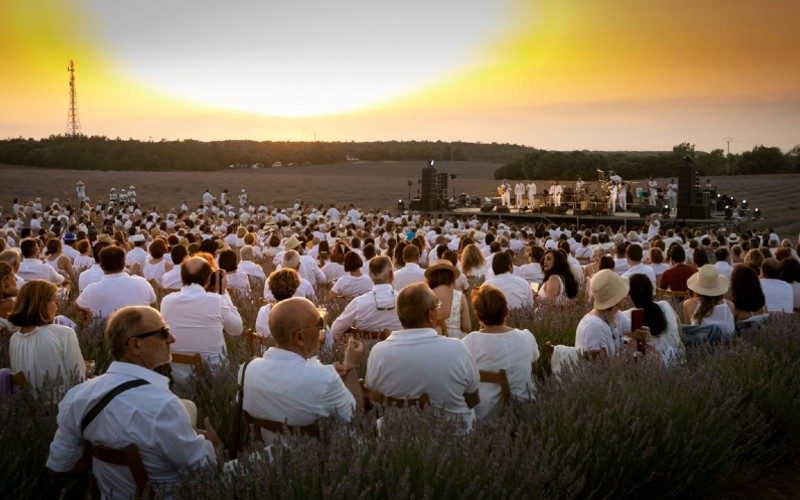 De Spaanse lavendelvelden bloeien tijdens het "Festival de la Lavanda"