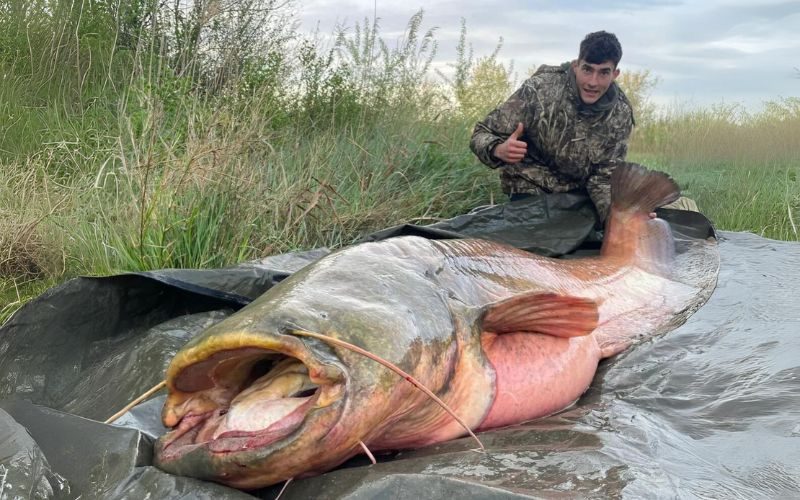 Opnieuw riviermonster van 110 kilo gevangen in de Ebro-rivier