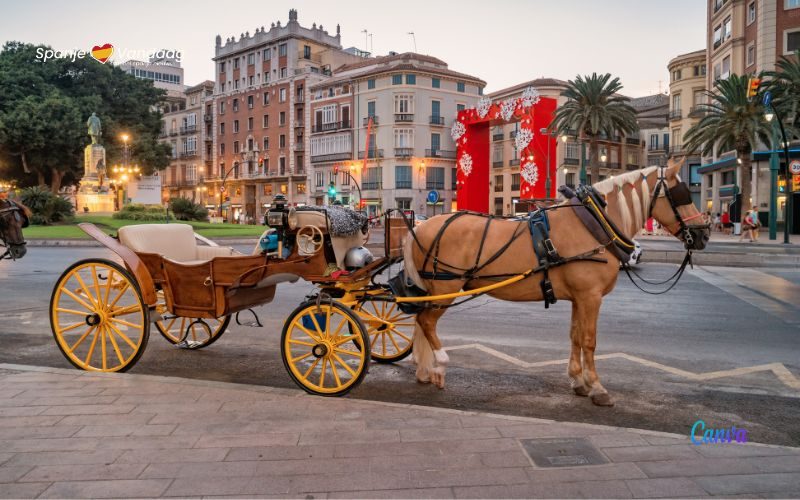 De toekomst van de traditionele koetsen in Málaga