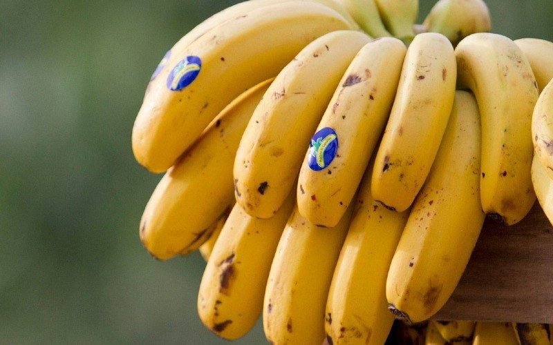 De crisis van de bananenproductie op de Canarische Eilanden