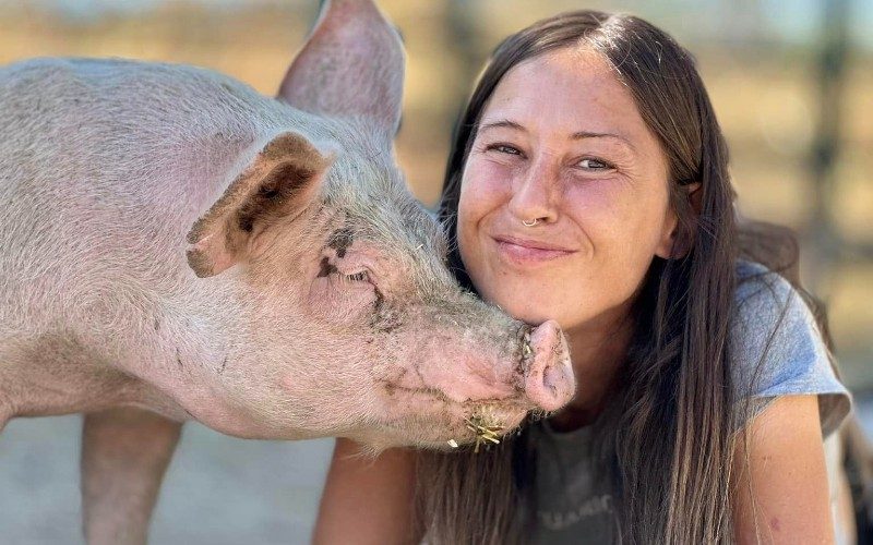 Deze boerderij nabij Madrid is een veilig thuis voor honderden slecht verzorgde dieren